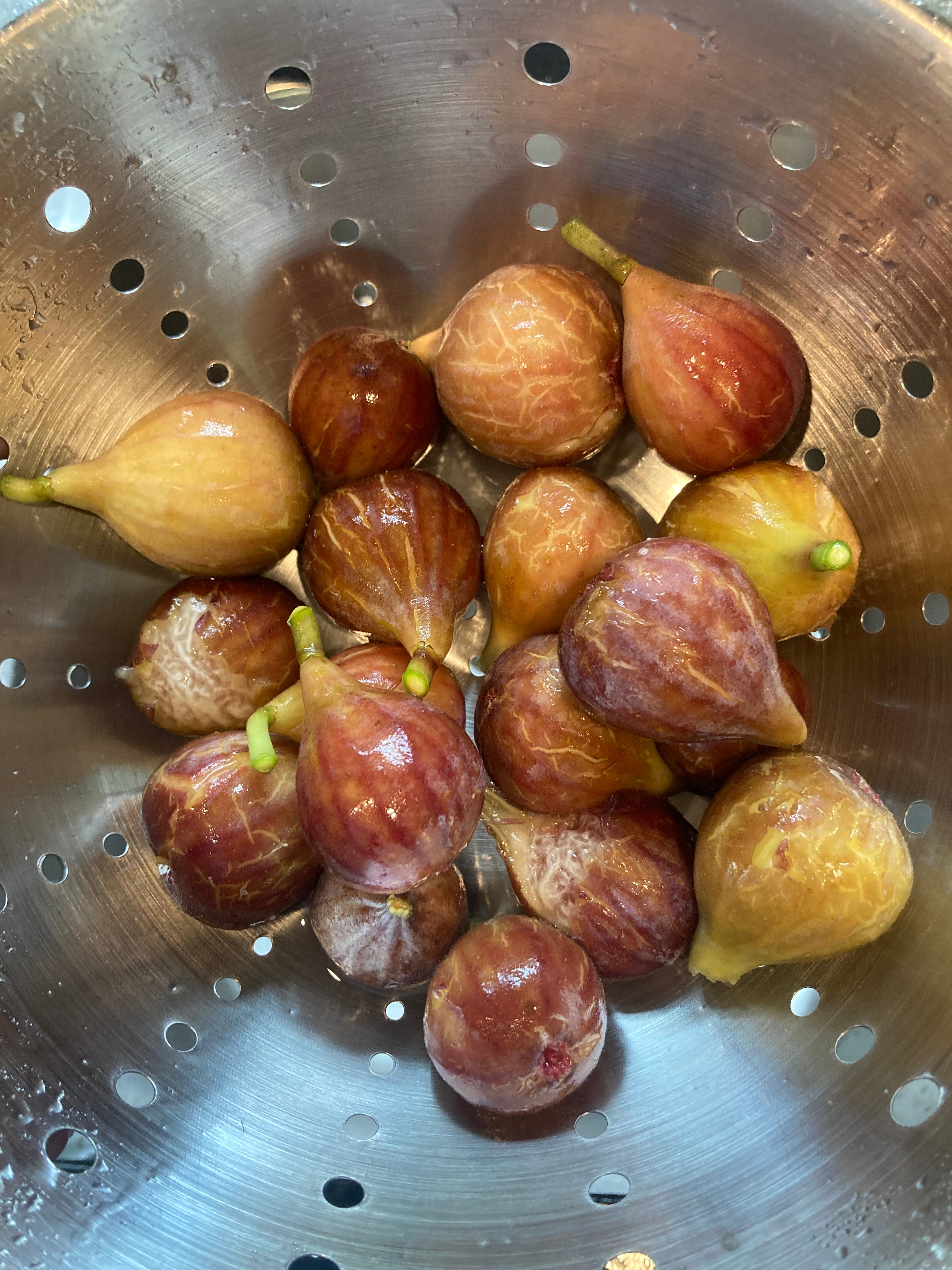 sugar fig！ Sugar Figs – Phil's Figs