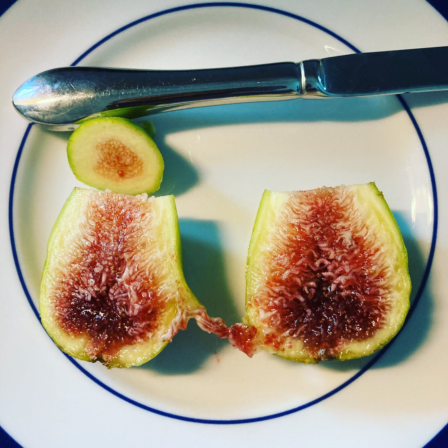 Stella Fig