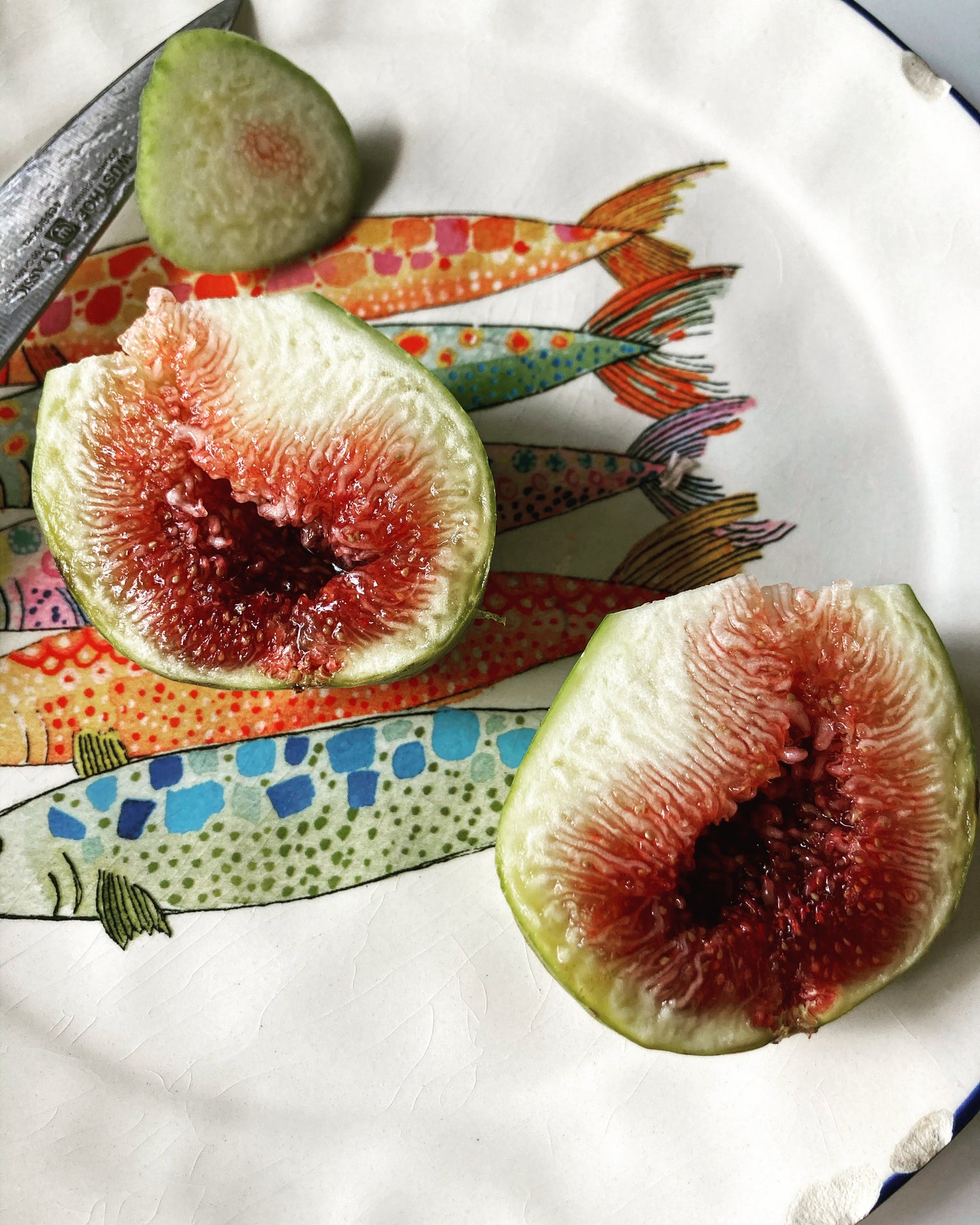 Stella Fig