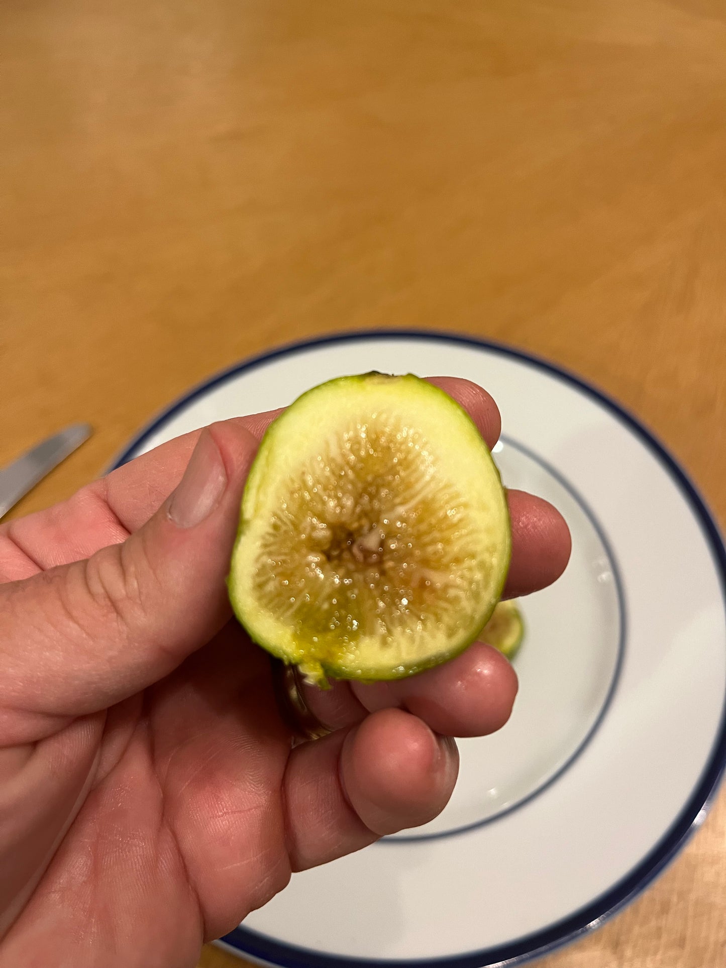 Peter's Honey Fig Tree