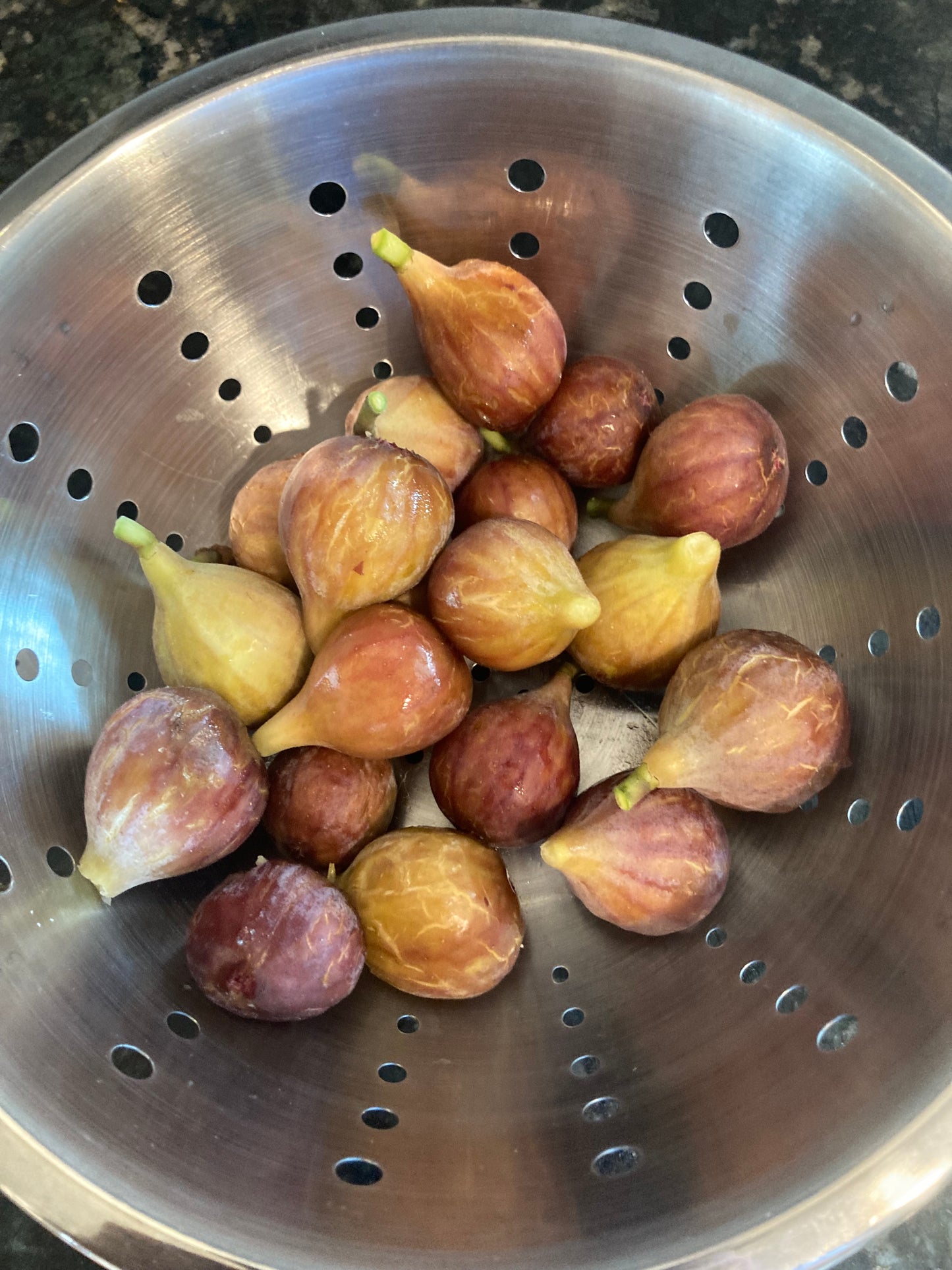 Celeste Fig