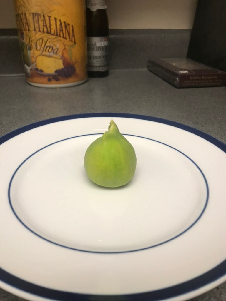 Fig Cuttings: Paradiso (Gene)