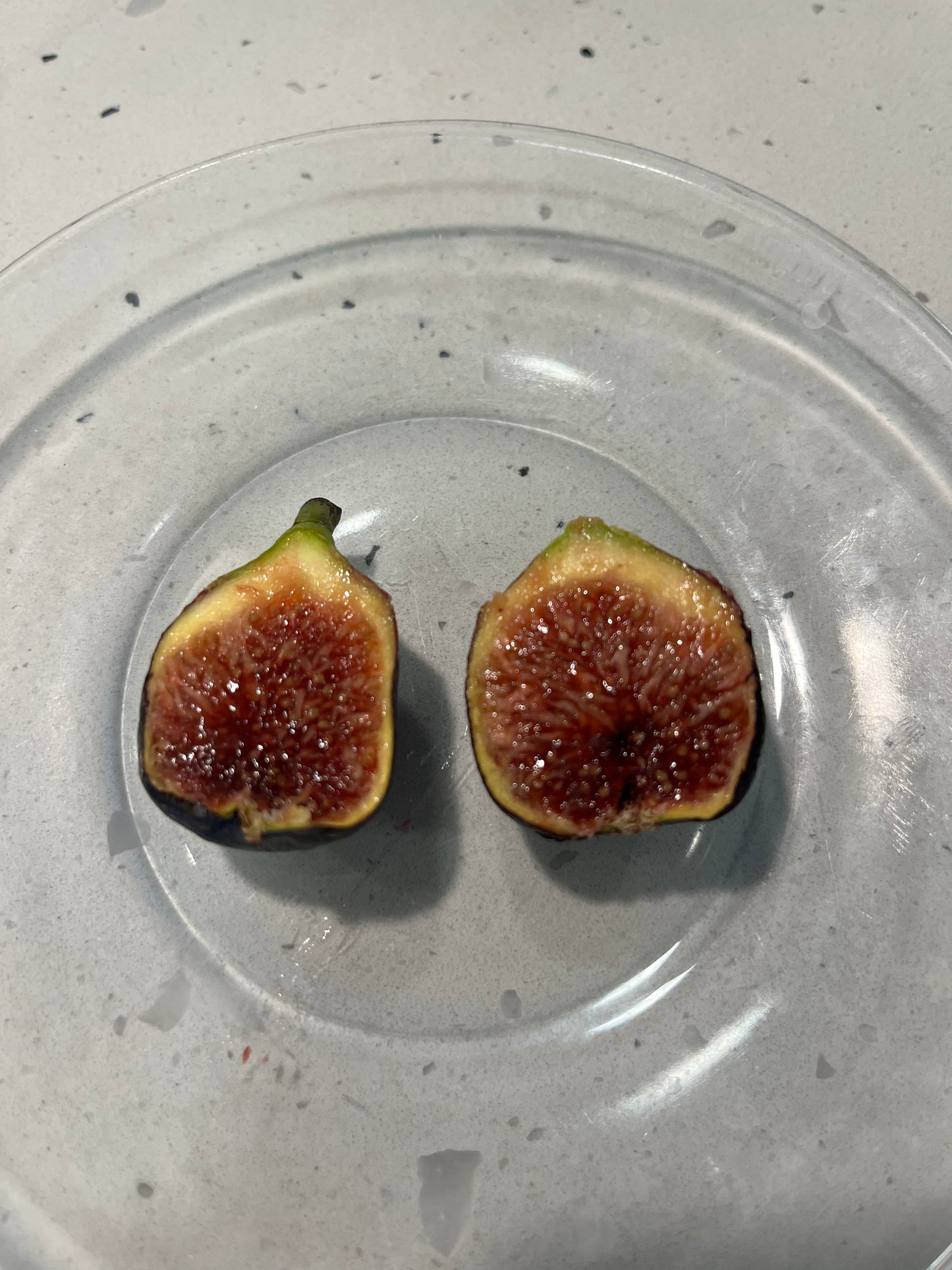 LSU Scott's Black Fig