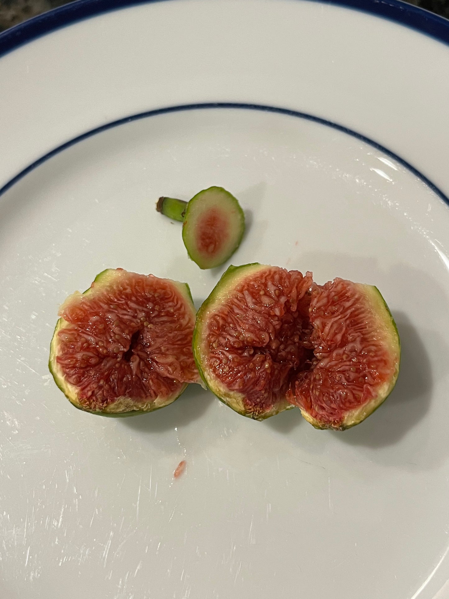 Paradiso Giovanni Fig Tree