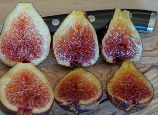 Fig Cuttings: Bordisotte Blanca Negra